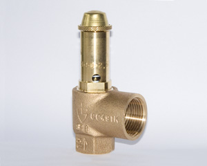 Sicherheitsventil 2,5 bar (Ganzmetall)